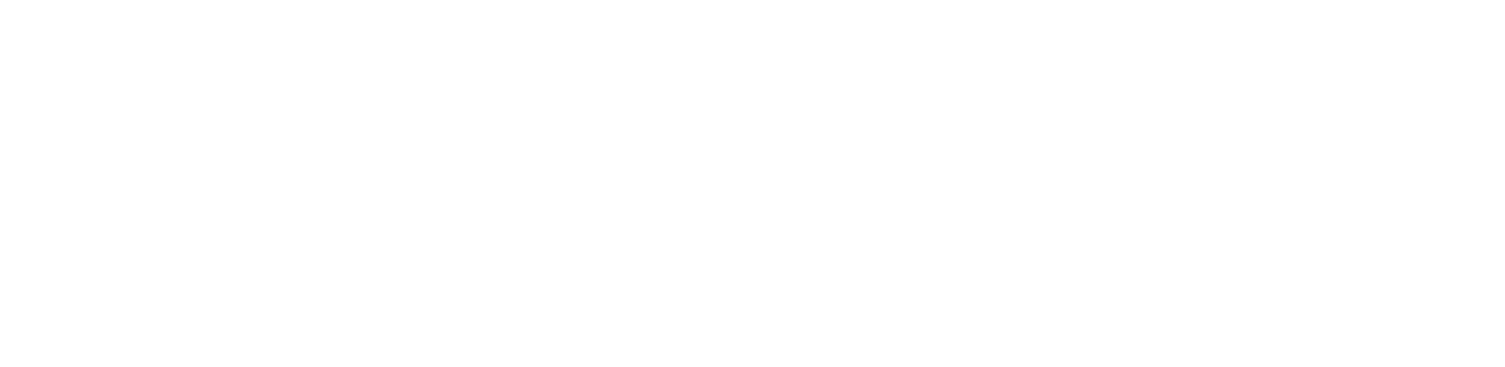 Swissgrip logo